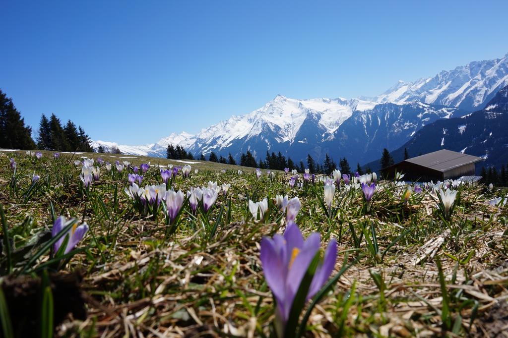 Apart Heim Ramsau im Zillertal Exterior foto